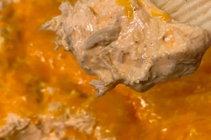 Creamy Chicken Taco Dip served in a bowl with tortilla chips on the side.